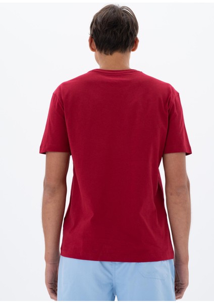 Erkek Regular Fit Bisiklet Yaka Tişört Y25344405901