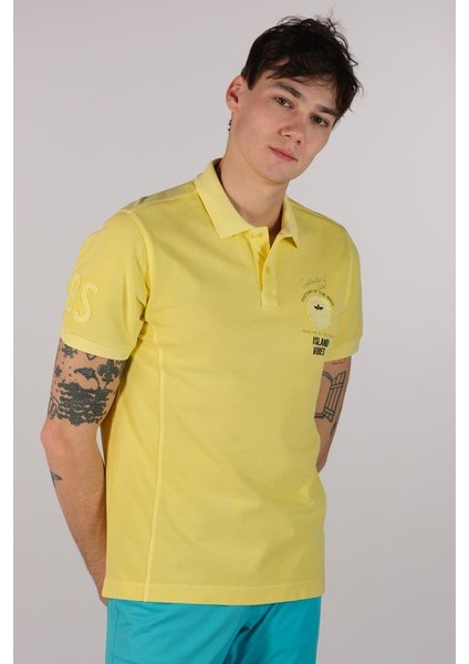 Erkek Polo Yaka Tişört Y22374375301