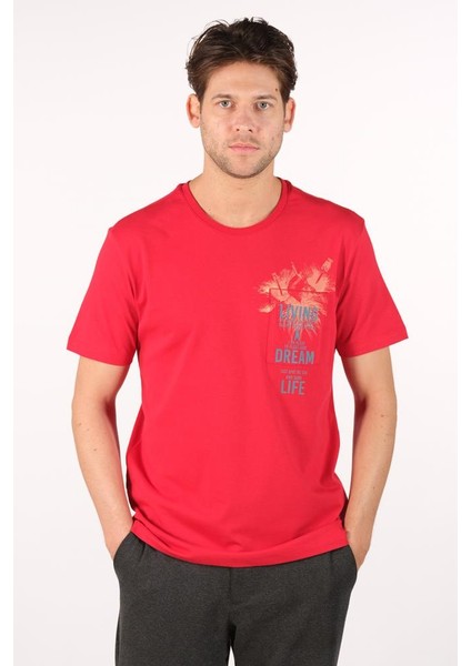 Erkek Bisiklet Yaka Tişört Y22344401001 modelleri