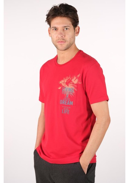 Erkek Bisiklet Yaka Tişört Y22344401001 fırsatları