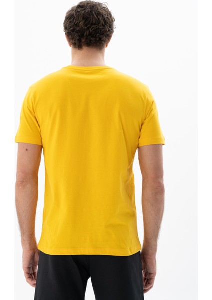 Erkek Regular Fit Bisiklet Yaka Tişört Y25344403001