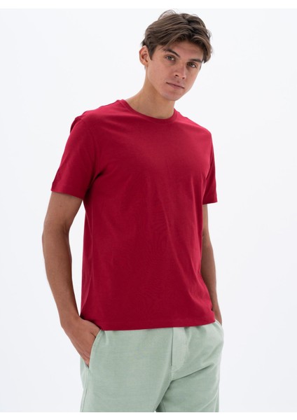 Erkek Regular Fit Bisiklet Yaka Tişört Y25344404701