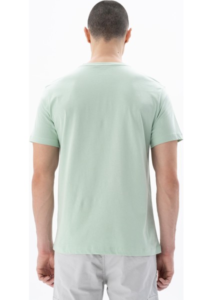 Erkek Regular Fit Bisiklet Yaka Tişört Y25344406201
