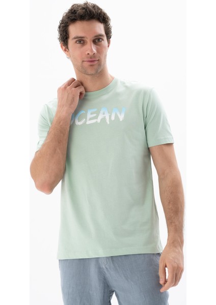 Erkek Regular Fit Bisiklet Yaka Tişört Y25344406001 fırsatları