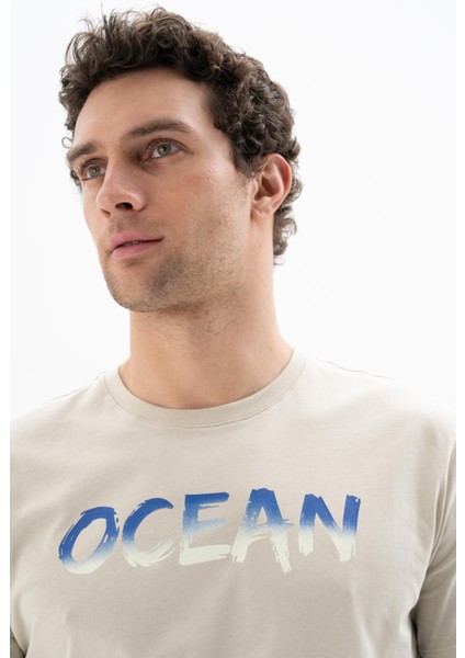 Erkek Regular Fit Bisiklet Yaka Tişört Y25344406001 fiyatları