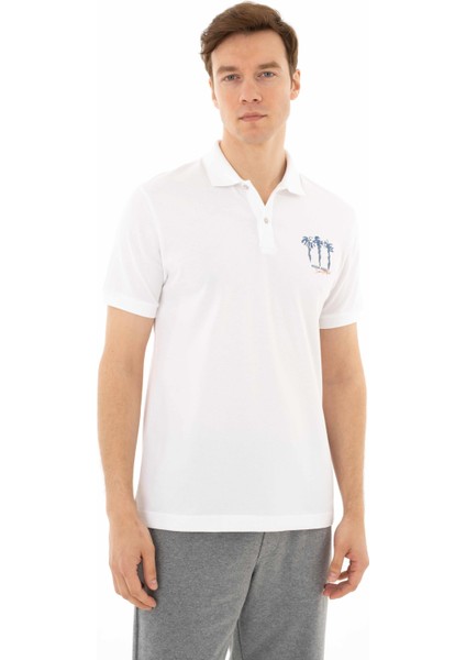 Erkek Regular Fit Polo Yaka Tişört Y25374305401
