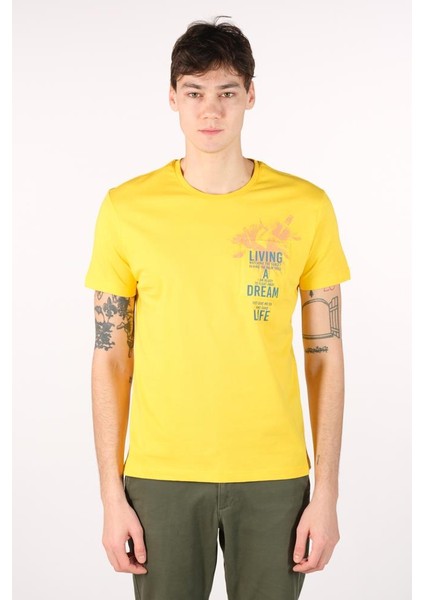 Erkek Bisiklet Yaka Tişört Y22344401001 fiyatları