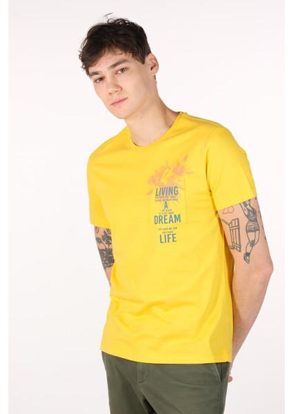 Erkek Bisiklet Yaka Tişört Y22344401001 modelleri