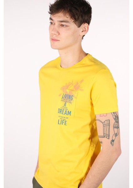 Erkek Bisiklet Yaka Tişört Y22344401001 fırsatları