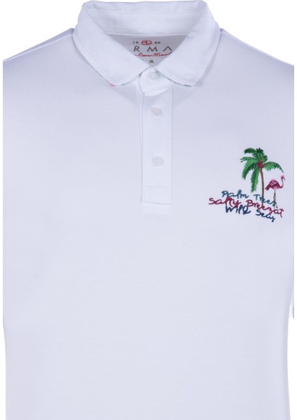 Erkek Polo Yaka Tişört Y21374275301 modelleri