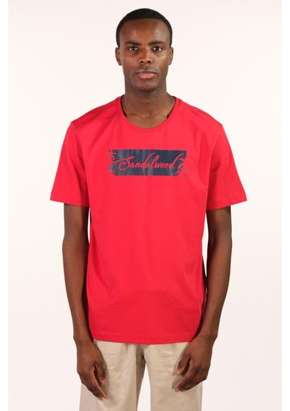 Erkek Bisiklet Yaka Tişört Y22344400401 modelleri