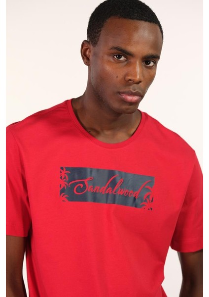 Erkek Bisiklet Yaka Tişört Y22344400401 fırsatları