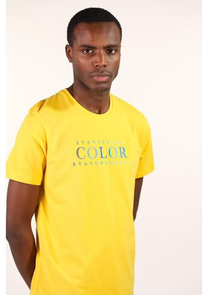 Erkek Bisiklet Yaka Tişört Y22344450401 fiyatları