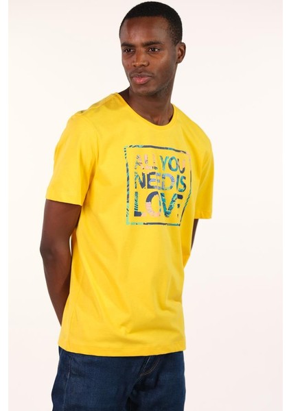 Erkek Bisiklet Yaka Tişört Y22344401701