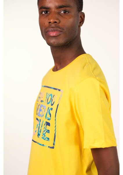 Erkek Bisiklet Yaka Tişört Y22344401701 fiyatları