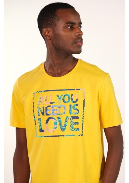 Erkek Bisiklet Yaka Tişört Y22344401701 modelleri