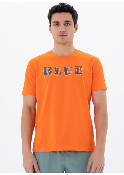 Erkek Regular Fit Bisiklet Yaka Tişört Y25344405901