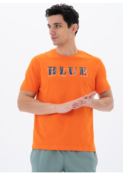 Erkek Regular Fit Bisiklet Yaka Tişört Y25344405901 fırsatları