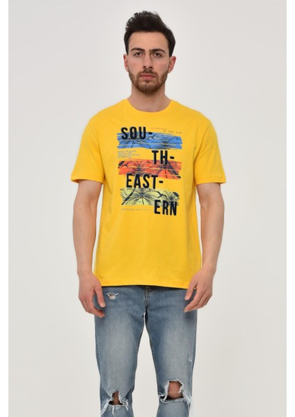 Erkek Bisiklet Yaka Tişört Y22344402601