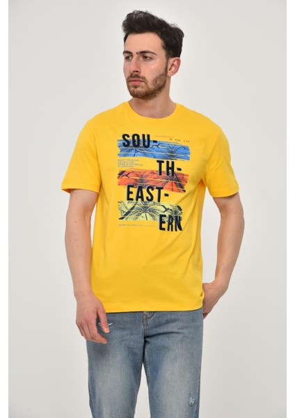 Erkek Bisiklet Yaka Tişört Y22344402601 fiyatları