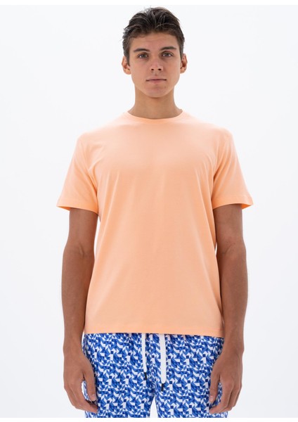 Erkek Regular Fit Bisiklet Yaka Tişört Y25344470001