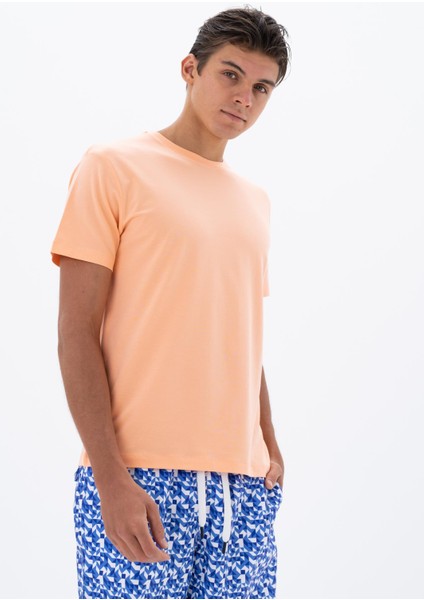 Erkek Regular Fit Bisiklet Yaka Tişört Y25344470001