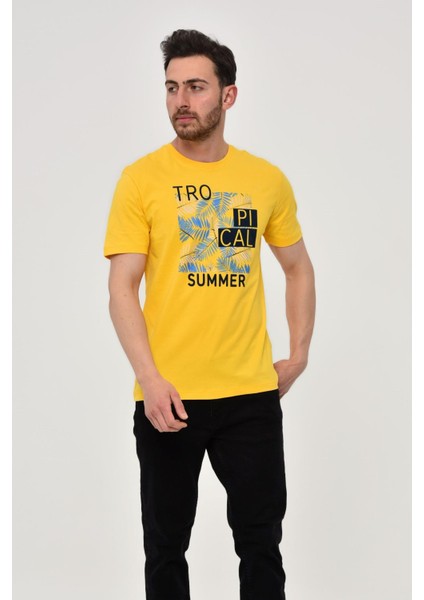 Erkek Bisiklet Yaka Tişört Y22344402501 modelleri