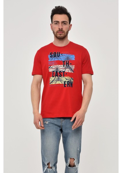 Erkek Bisiklet Yaka Tişört Y22344402601 fiyatları