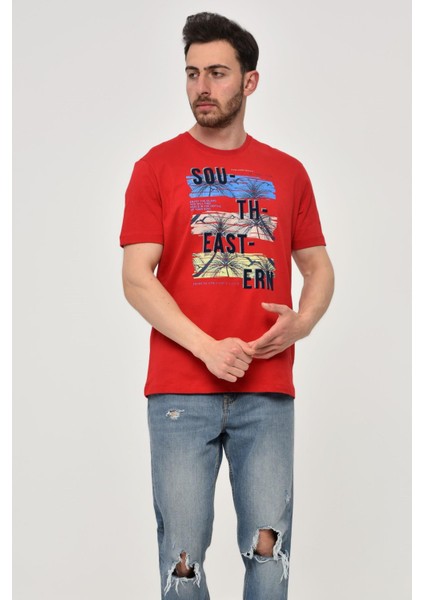 Erkek Bisiklet Yaka Tişört Y22344402601 modelleri