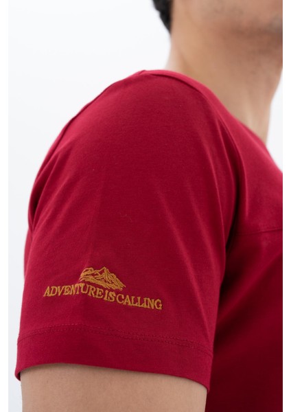 Erkek Regular Fit Bisiklet Yaka Tişört Y25344404601 modelleri