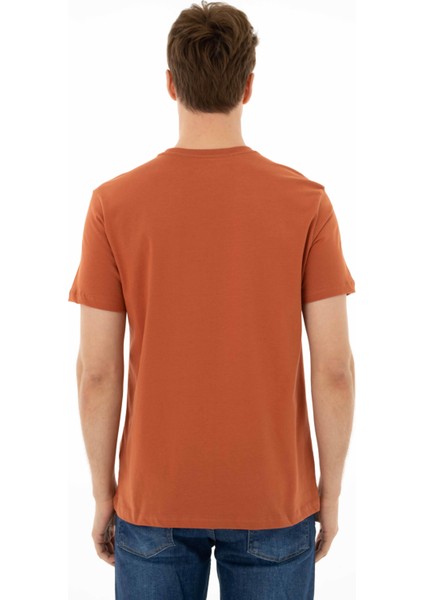 Erkek Regular Fit Bisiklet Yaka Tişört Y25344405601