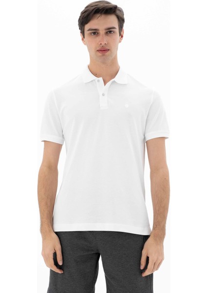 Erkek Büyük Beden Polo Yaka Tişört Y25374866801