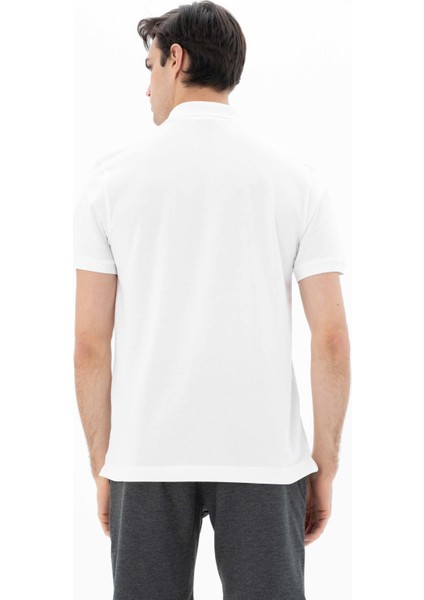 Erkek Büyük Beden Polo Yaka Tişört Y25374866801