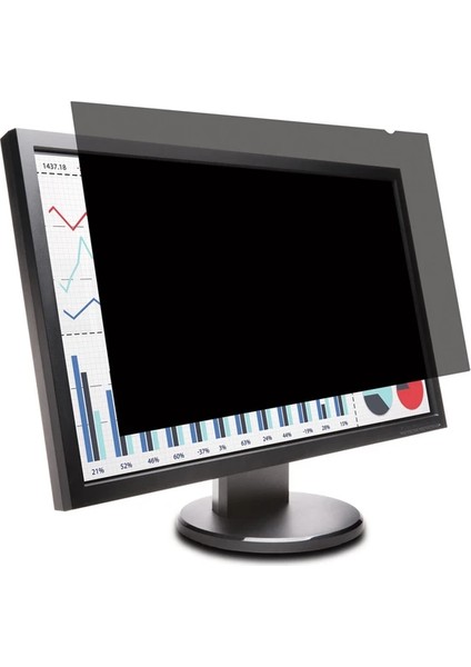 Thinkvision T2454P Ekran Gizlilik Filtresi, Hayalet Filtre