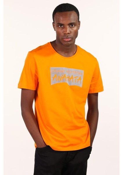 Erkek Bisiklet Yaka Tişört Y22344401801 fiyatları