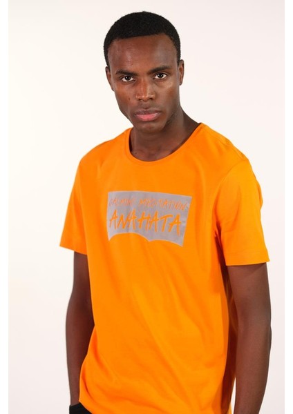 Erkek Bisiklet Yaka Tişört Y22344401801 modelleri