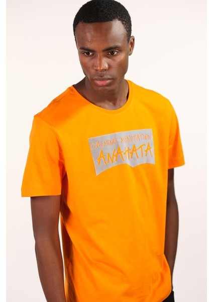 Erkek Bisiklet Yaka Tişört Y22344401801 fırsatları