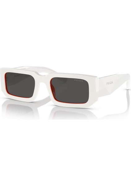 Pr 06Y 17M-5S0 53 G