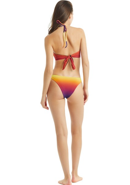 Çok Renkli Kadın Bikini Üst 102524898