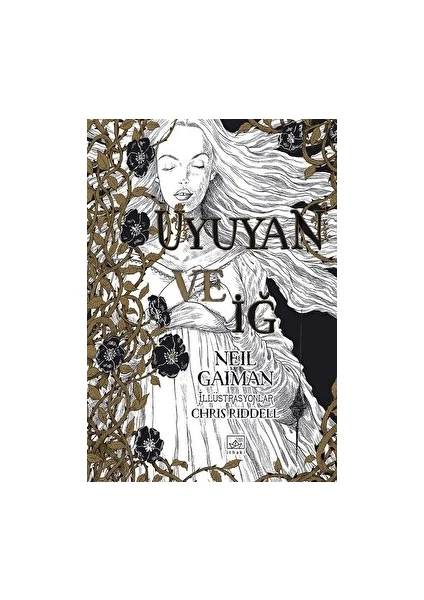 Uyuyan Ve Iğ - Neil Gaiman