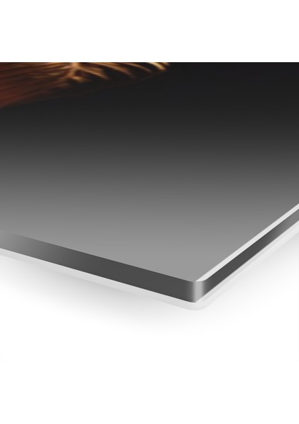 Kızılderili Kız Cam Tablo Duvar Dekoru fırsatları