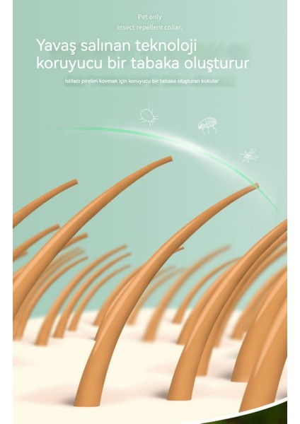 Böcek Kovucu Yaka Kedi Böcek Kovucu Anti Tasması (Yurt Dışından) fırsatları