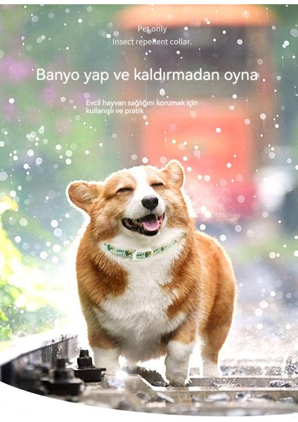 Böcek Kovucu Yaka Kedi Böcek Kovucu Anti Tasması (Yurt Dışından) indirimleri