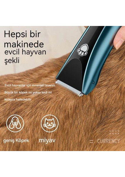 Su Geçirmez Pet Tarak Saç Makas Kedi Köpek Elektrikli Itme Dört Parçalı Set (Yurt Dışından) fiyatları