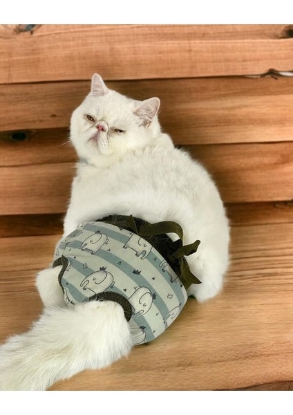 My Elephant Kemique's Secret Kedi Iç Çamaşırı Regl Külot Don
