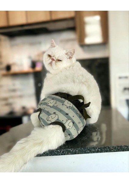 My Elephant Kemique's Secret Kedi Iç Çamaşırı Regl Külot Don modelleri