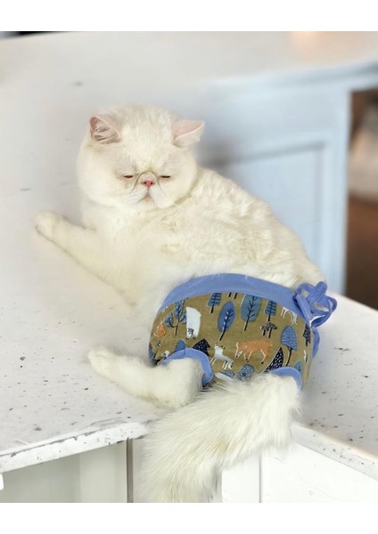 Forest Kemique's Secret Kedi Iç Çamaşırı Regl Külot Don