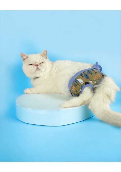 Forest Kemique's Secret Kedi Iç Çamaşırı Regl Külot Don modelleri