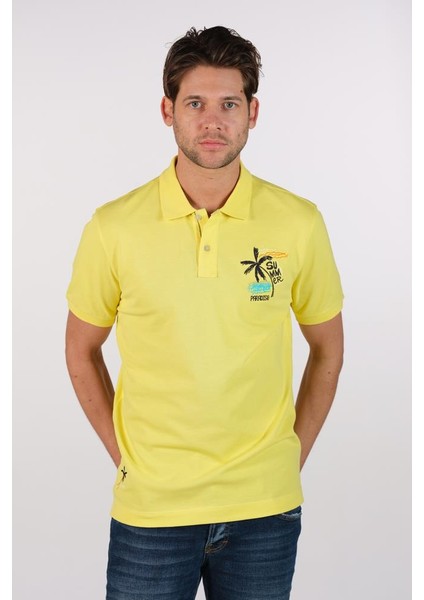 Erkek Büyük Beden Polo Yaka Tişört Y22374869501 modelleri