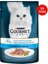Izgara Ton Balıklı Pouch Kedi Yaş Maması 85 gr 24 Adet 1